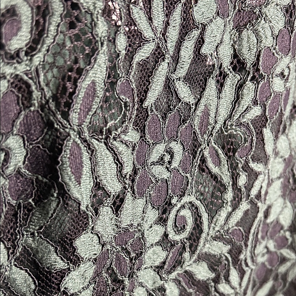 Calvin Klein Forest Green Lace Midi Dress with Slip - Picture 3 of 13
